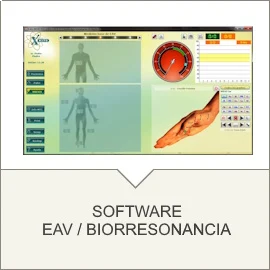 EAV
